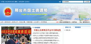 网络公司 技术服务与产品创新引领数字未来